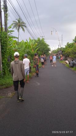 Kegiatan Gotong Royong Banjar Dinas Mawar